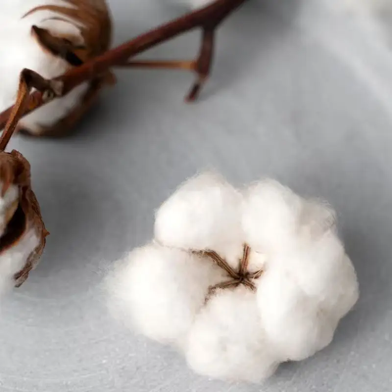 Pokémon Anime Squirtle Printing Oversized Cotton T-shirt Men and Women Comfortable Fashion Y2K Children's Clothing Summer Tees - Image 4